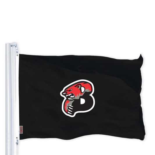 Boyertown Baseball Team 3 x 5 Attack