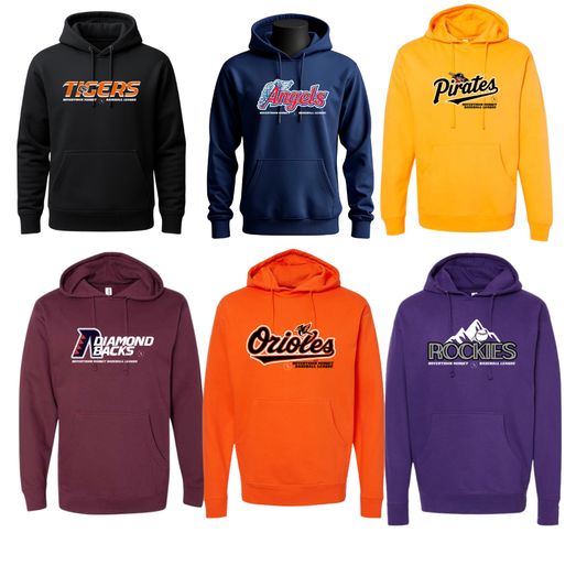 BMBL Coach Team Hoodie